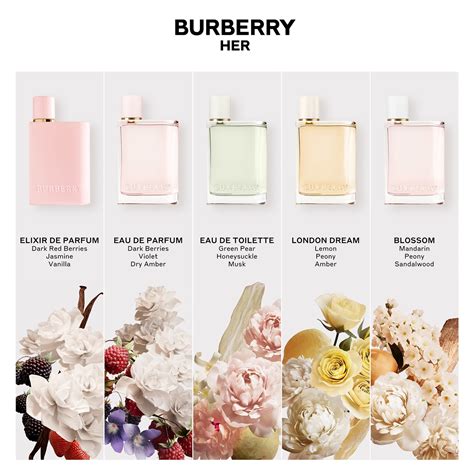 burberry her elixir de parfum vs eau de parfum|Burberry Her perfume 5 oz.